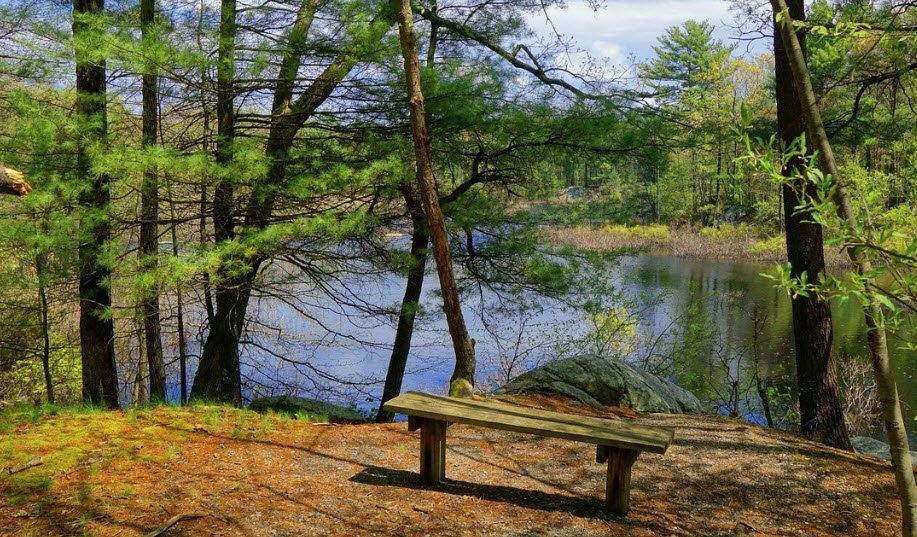 Wompatuck State Park, Massachusetts, USA
